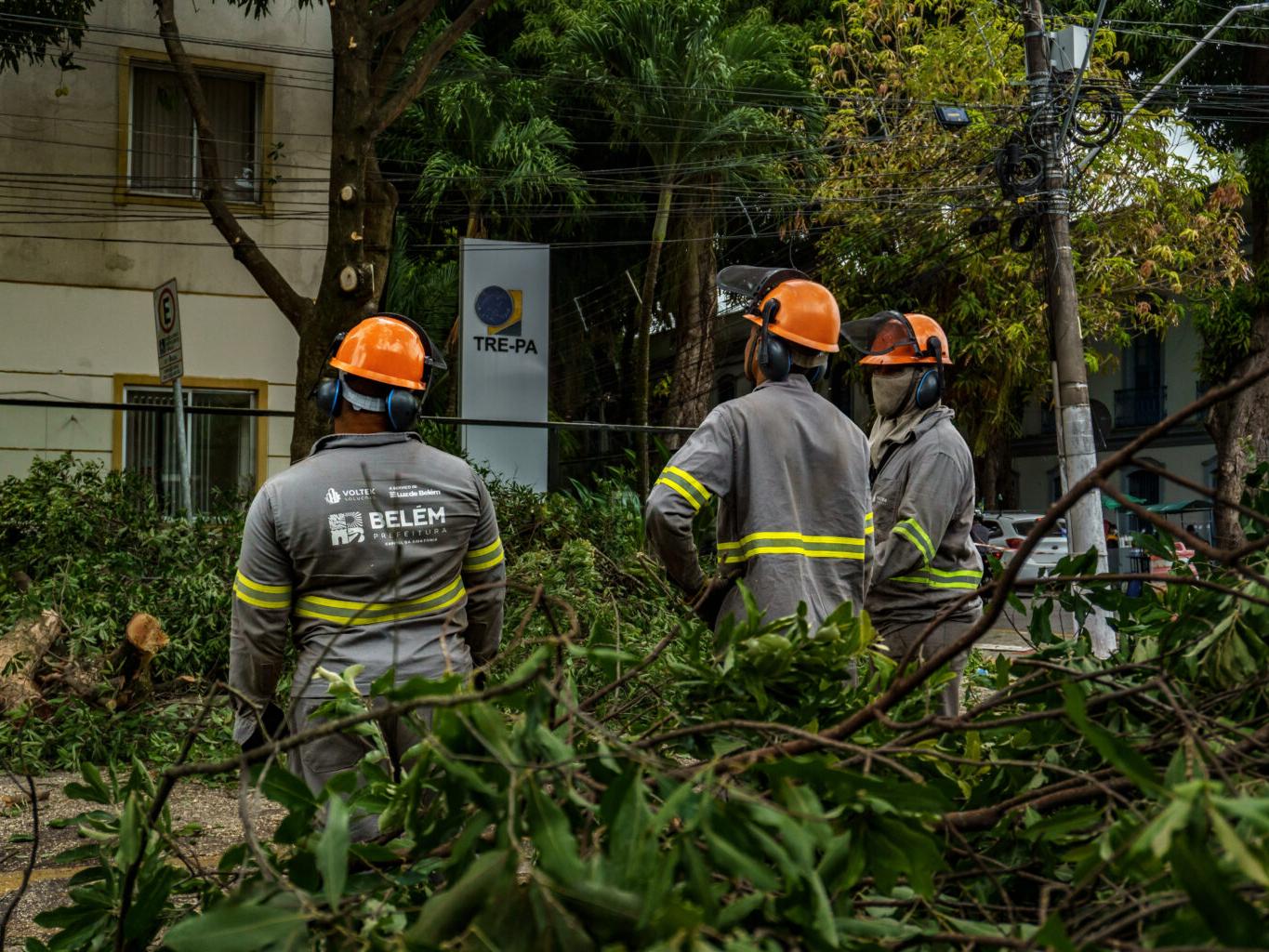 Trabalhadores da Prefeitura de Belém trabalham na poda de árvores nas principais avenidas por onde o Círio irá passar.